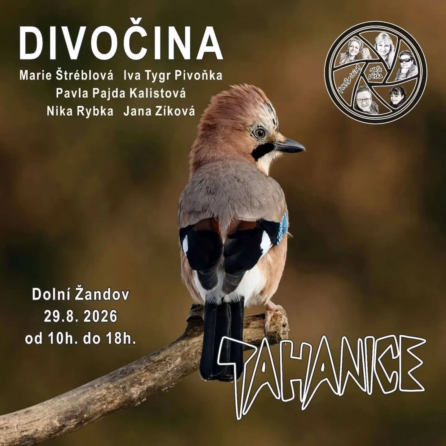 Fotografická výstava: Divočina