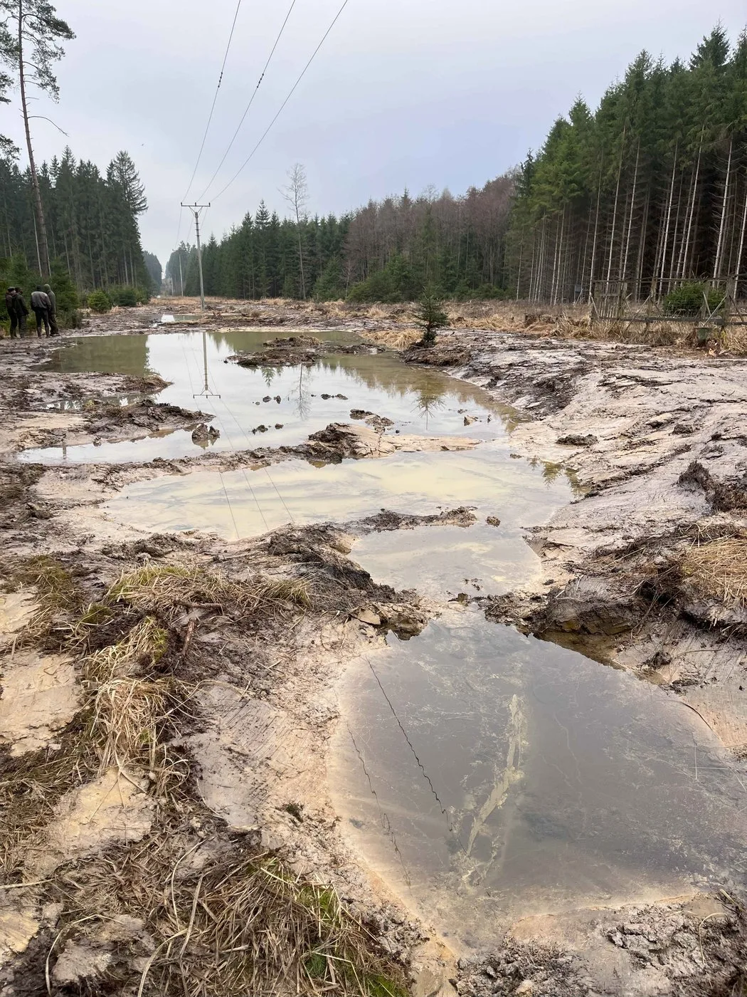 Tůně v ochranném pásmu vysokého napětí pomohly chráněným živočichům i energetikům