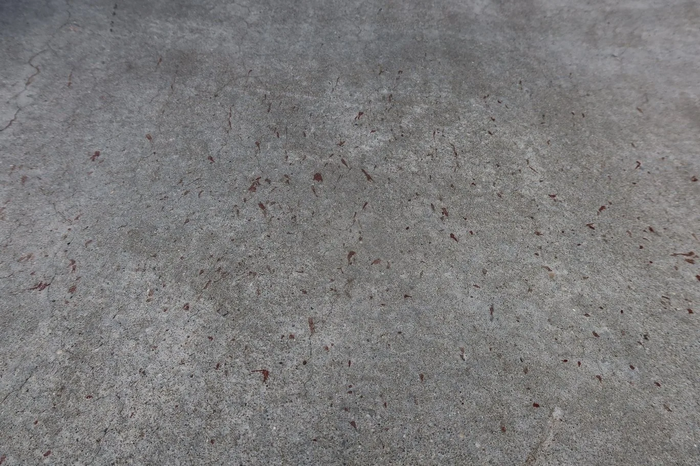 Krvavé stopy ježčích paciček na dně skate bowlu