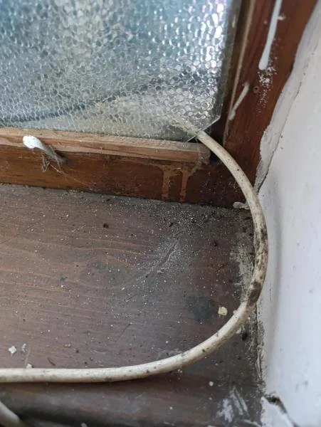 Inspekce uzavřela oblíbený hostinec, všude byl nepořádek, myší bobky a plísně