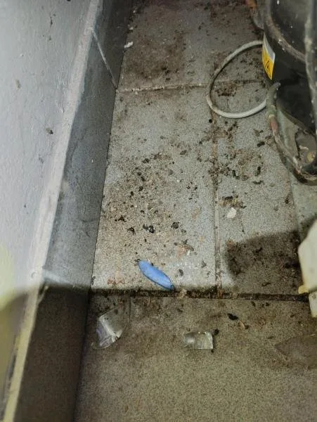 Inspekce uzavřela oblíbený hostinec, všude byl nepořádek, myší bobky a plísně