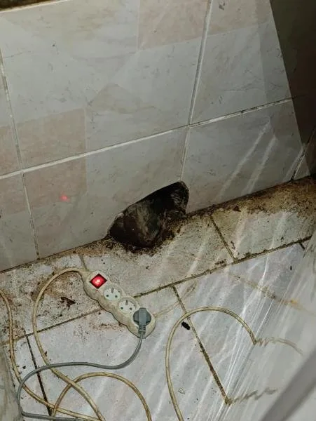 Inspekce uzavřela oblíbený hostinec, všude byl nepořádek, myší bobky a plísně