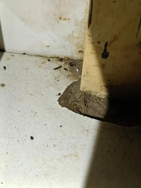 Inspekce uzavřela oblíbený hostinec, všude byl nepořádek, myší bobky a plísně