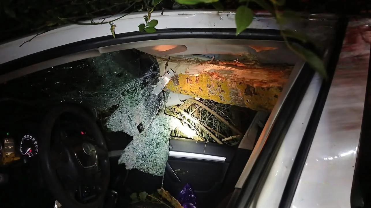 Noční bouře porážela desítky stromů. Najelo do nich auto i vlak