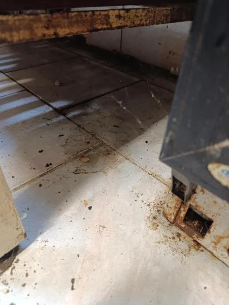Inspekce uzavřela oblíbený hostinec, všude byl nepořádek, myší bobky a plísně