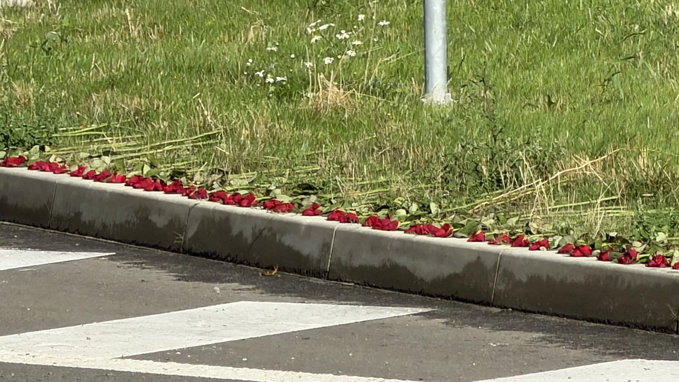 Stovky rudých růží obkroužily obří kruháč na památku čtyř obětí havárie vrtulníku