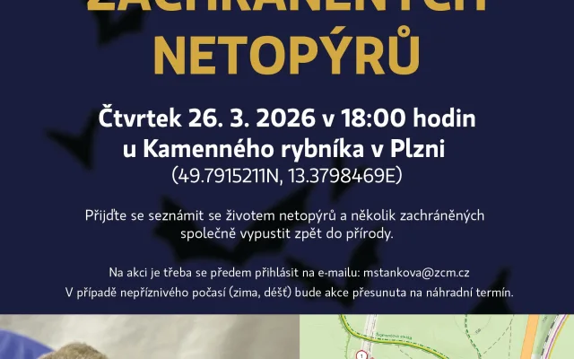 Vypouštění zachráněných netopýrů