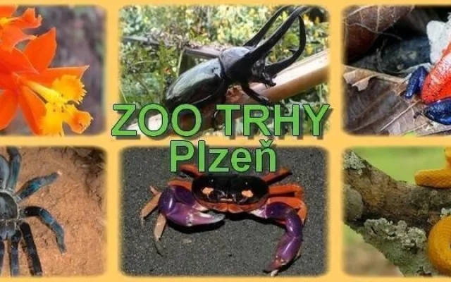 Zoo trhy Plzeň 