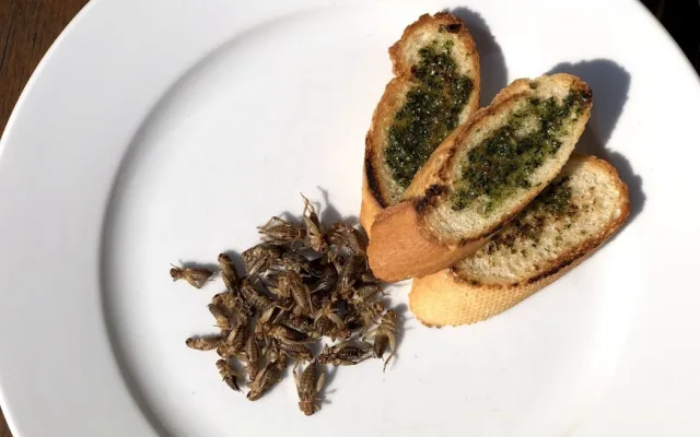 Gastronomické zážitky už tento víkend na Beko Fresh festivalu v Plzni.
