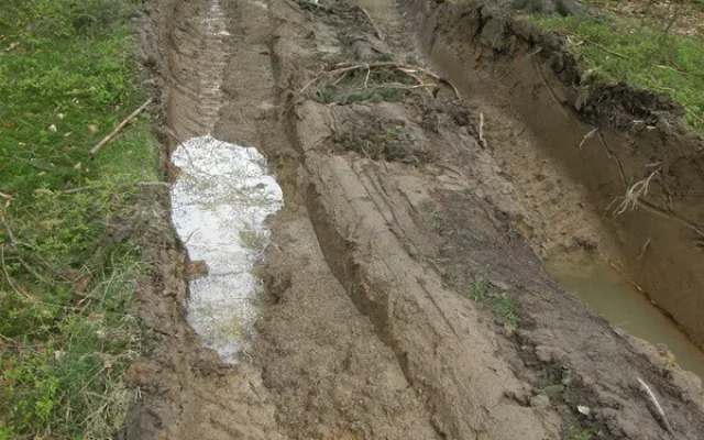 Inspekce pokutuje firmu za poškození půdy při těžbě v CHKO Český les.