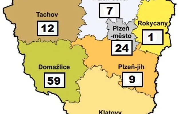 Vedení města Plzně přitvrdilo podmínky, ochranné pomůcky shání vlastními silami kde se dá