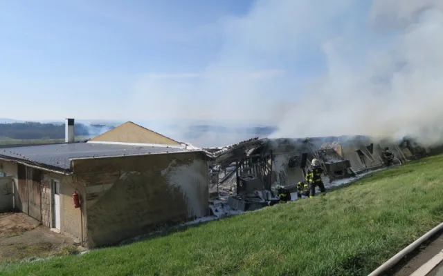Při požáru haly drůbežárny uhořelo asi 16 tisíc malých kuřat