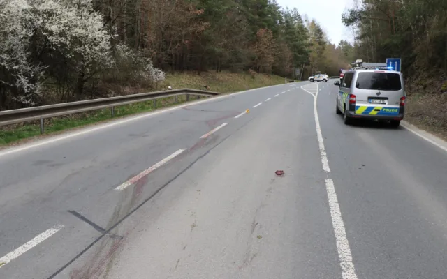Srnec nehodu nepřežil. Na silnici zůstaly jen krvavé stopy