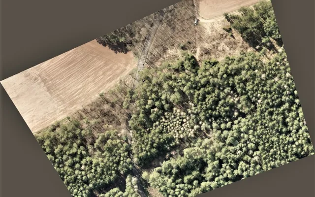 Z těchto map dokáží lesníci vyčíst, kde jsou kůrovcem napadené stromy
