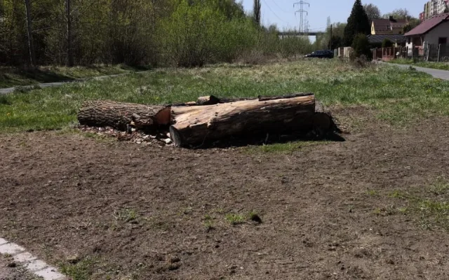 Centrální plzeňský městský obvod chystá malé biotopy, květnaté louky i broukoviště