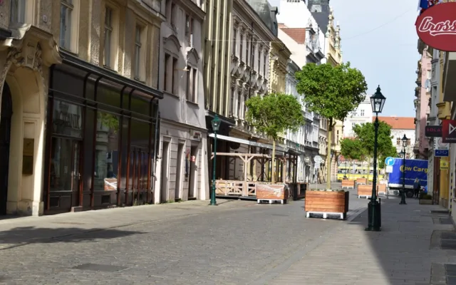 Zeleň na pěší zóně v Riegerově ulici