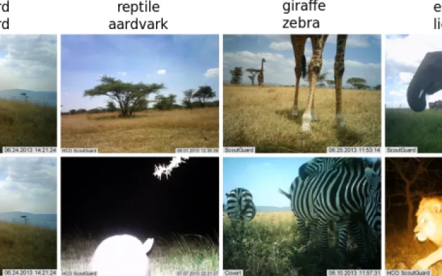 fotopasti v Serengeti