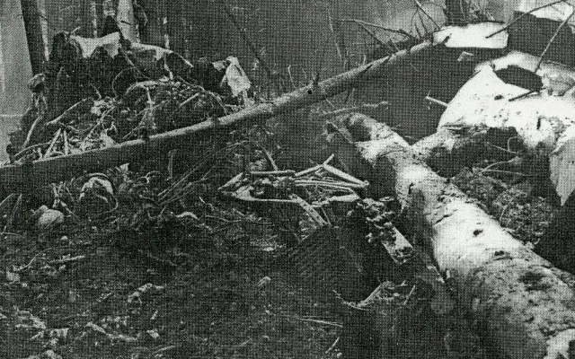 Autentická fotografie z místa dopadu letounu v lese u Křepkovic 20. června 1970.