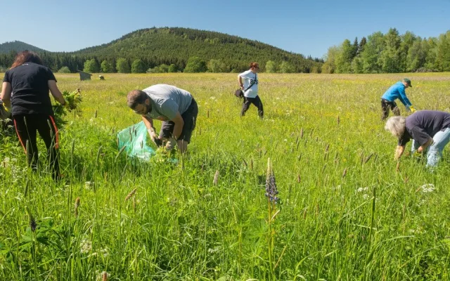S lupinou vyráží do boje i dobrovolníci,