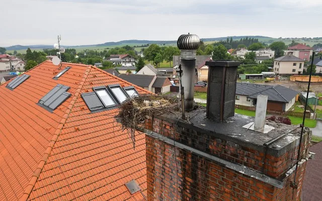 Z čapího hnízda neodtékala voda a hrozilo, že mláďata zahynou