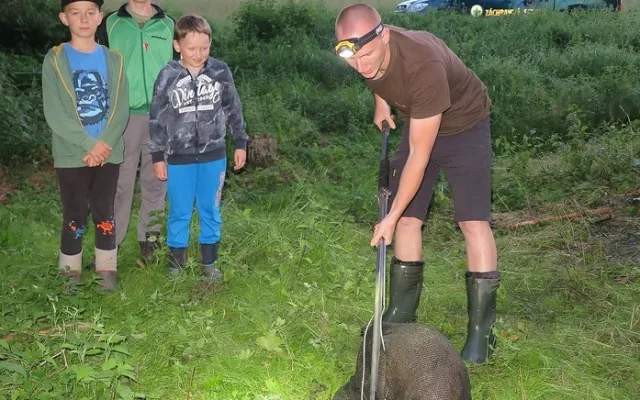 Tři kluci pomohli zachránit bobra, který uvízl v zapomenutém sklípkuu81_3056383331146053_114178261990249018_n