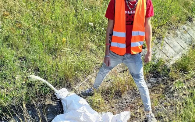 Masakr neopatrné labutí rodiny na dálnici D5 přežila se zraněním jen samice