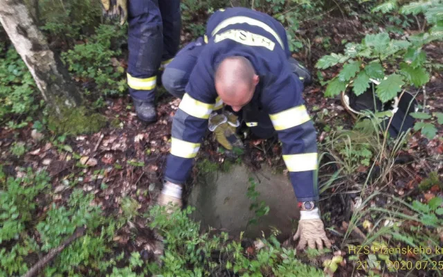 Pejsek spadl do vybetonované šachty s odpadky a vodou, záchrana  přišla třetí den