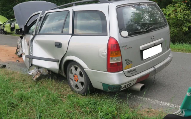 Řidič se vyhýbal ptáku na silnici, přejel do protisměru a naboural další automobil