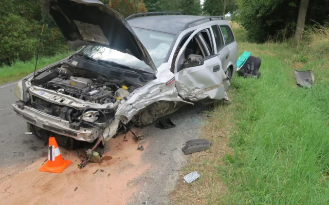 Řidič se vyhýbal ptáku na silnici, přejel do protisměru a naboural další automobil
