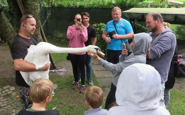 Lidé z Nečtin pak navštívili záchrannou stanici živočichů a setkali se s pacienty zvířecí nemocnice