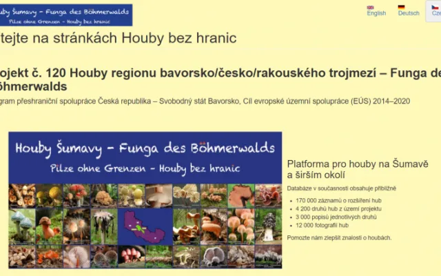 Rozsáhlá databáze hub bavorsko-česko-rakouského trojmezí prozrazuje místa výskytu více než 4000 druhů