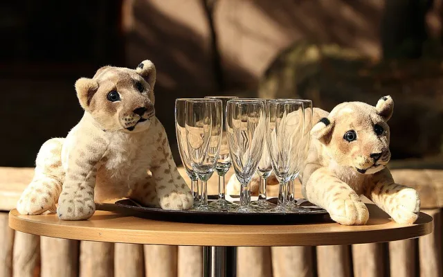 Zoo pokřtila dvě srpnová mláďata lva berberského jmény Fazan a Farida