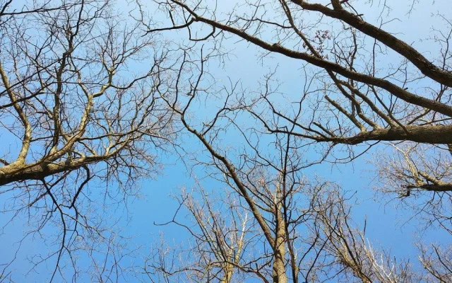 Plzeňané vyrážejí častěji do městských rekreačních oblastí, množí se tam nepořádek