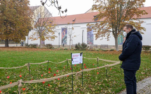 Záhonek s vlčími máky v centru Plzně se zaplňuje, zasadit květ přišel i primátor Baxa