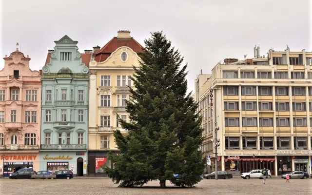 Na svém místě na náměstí Republiky už stojí plzeňská vánoční jedle a čeká na ozdobení