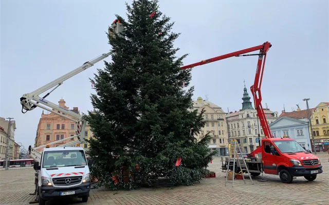 V plném proudu je už zdobení vánočního stromu na plzeňském náměstí Republiky
