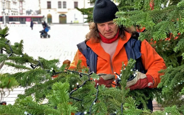 V plném proudu je už zdobení vánočního stromu na plzeňském náměstí Republiky