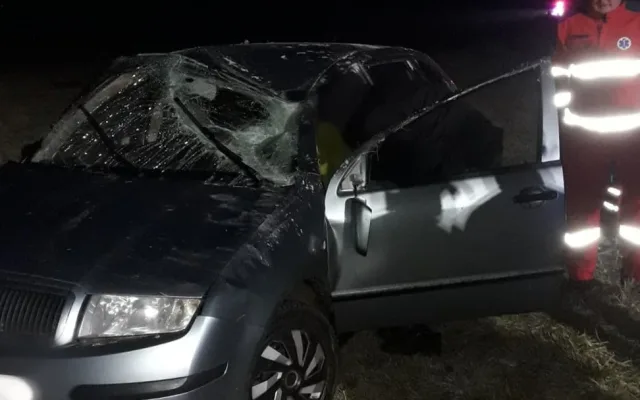 Záchranáři zasahují u nehody poblíž Malých Hydčic na Klatovsku