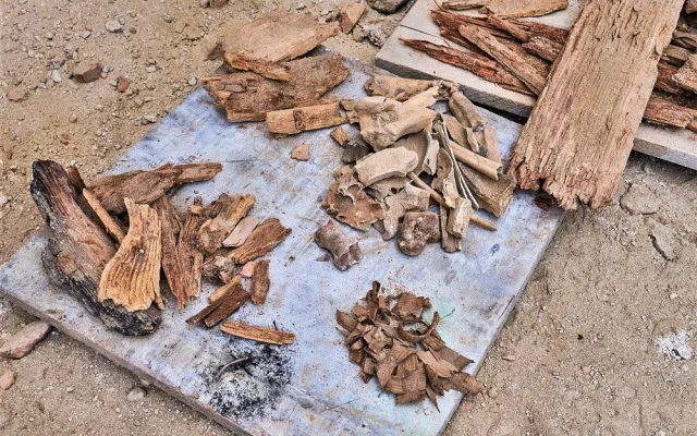 Unikátní objev v klatovských katakombách! Archeologové tam našli pohřbené tělo