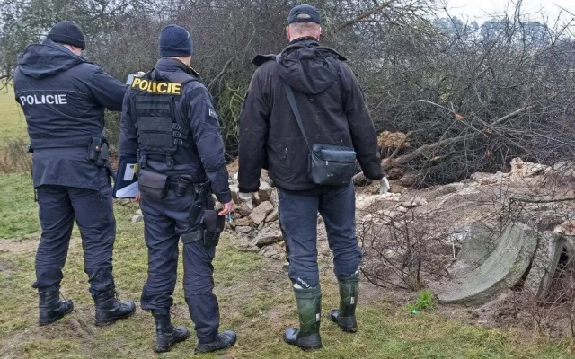 Masakr čtyř orlů mořských vyšetřuje policie, neznámý pachatel je na Klatovsku otrávil