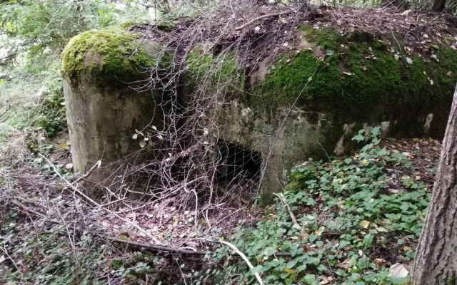 Když nemají školu, chodí a čistí bunkry. Čtyři chlapci, by zde rádi vytvořili malé muzeum