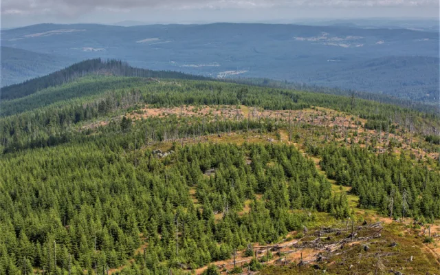 Před 30 lety vznikl NP Šumava, většinu území tvořil původně vojenský prostor