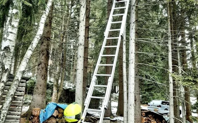 Hasiči zachraňovali ze stromu kocoura také na Špičáku