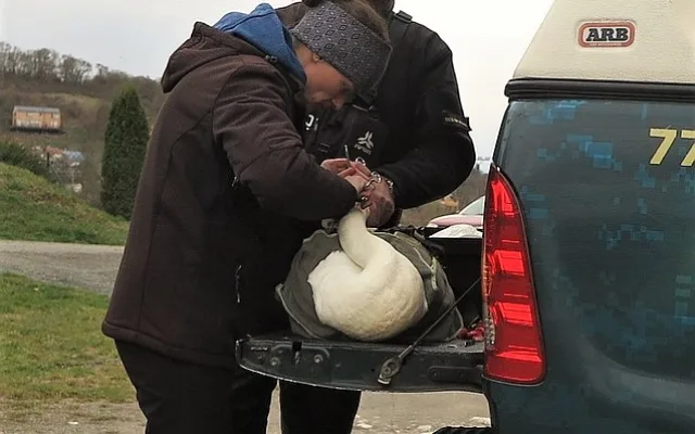 Polní operace