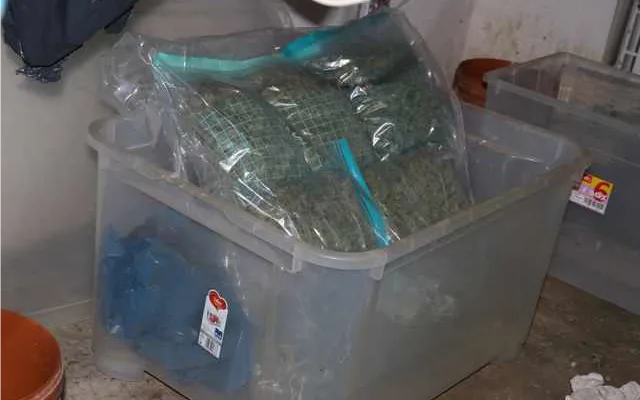 Policejní akce s krycím názvem Orgrodnik odhalila skvěle vybavenou pěstírnu konopí