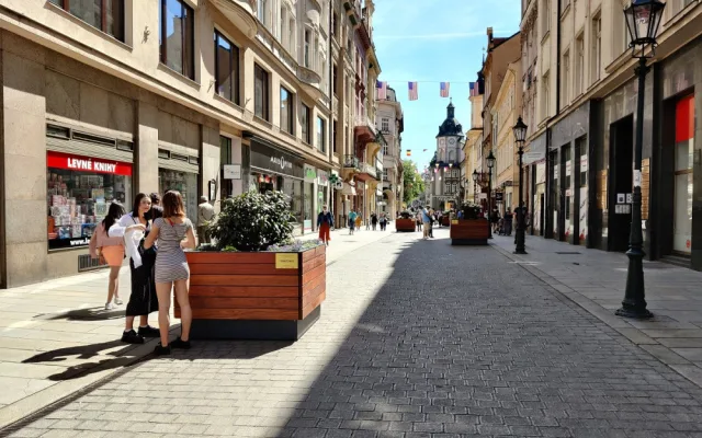 Nejužší centrum města zdobí rododendrony a letničky v obřích květináčích