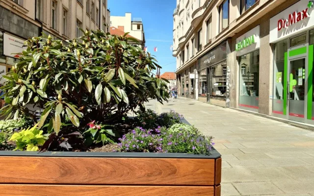 Nejužší centrum města zdobí rododendrony a letničky v obřích květináčích