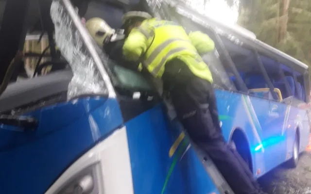 Autobus na Šumavském Špičáku vyjel ze silnice a roztříštil se o stromy