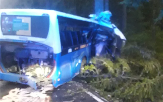 Autobus na Šumavském Špičáku vyjel ze silnice a roztříštil se o stromy