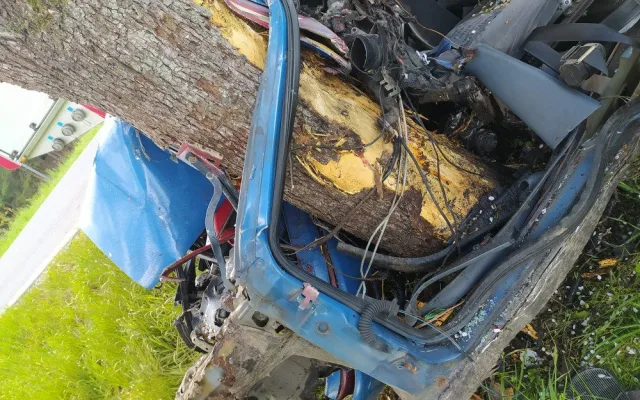 Řidič vyletěl na rovném úseku ze silnice a narazil do stromu, utrpěl těžké zranění